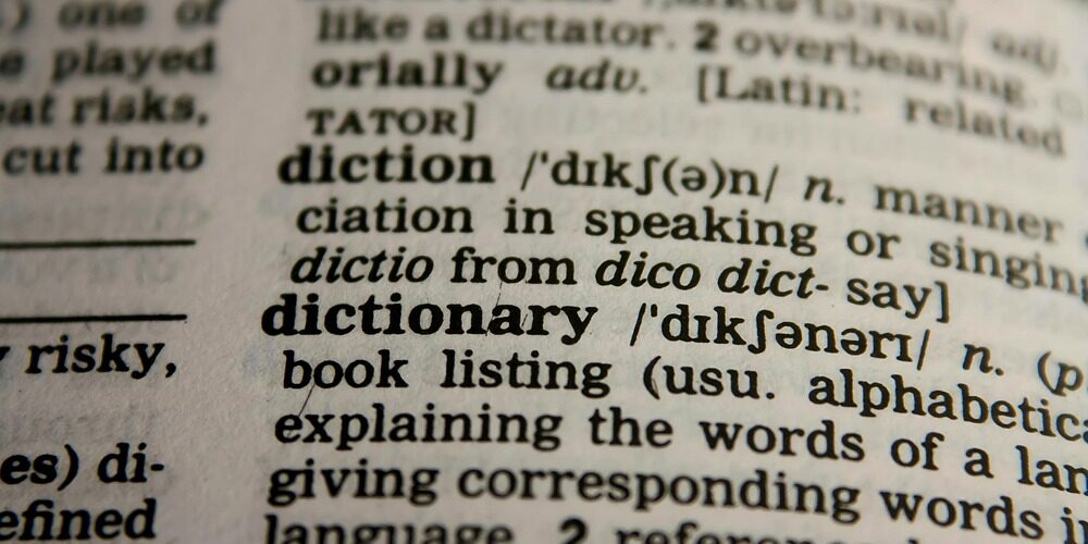 Extreme close-up of a printed dictionary page showing definitions for the words 'diction' and 'dictionary'.